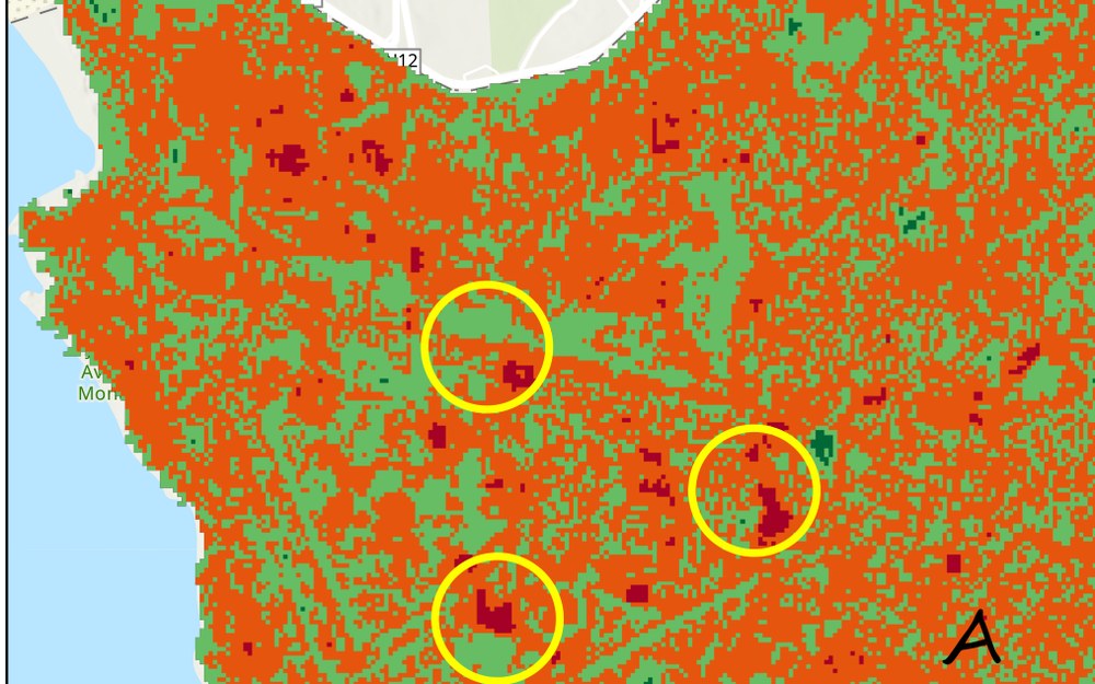 Vegetation Change in Porto thumbnail